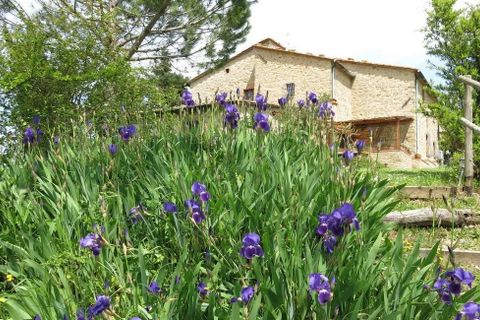 Villa a Pomarance, Pisa, Pomarance - € 1.550.000 | Ref: TOSBS 2040F - foto 9