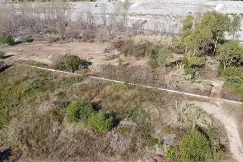 Villa i Ventimiglia, Imperia, Ventimiglia - € 1.250.000 | Ref: 22472 - foto 4