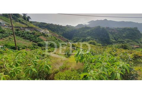 Helårsgrund i Machico, Madeira, Machico - € 70.000 | Ref: DEED/738 - foto 3