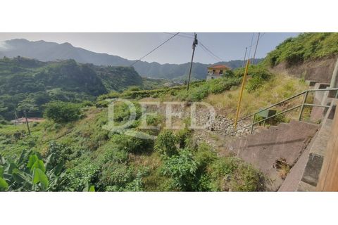 Helårsgrund i Machico, Madeira, Machico - € 70.000 | Ref: DEED/738 - foto 4
