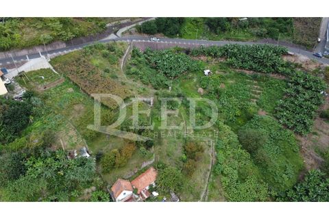 Helårsgrund i Machico, Madeira, Machico - € 70.000 | Ref: DEED/738 - foto 6