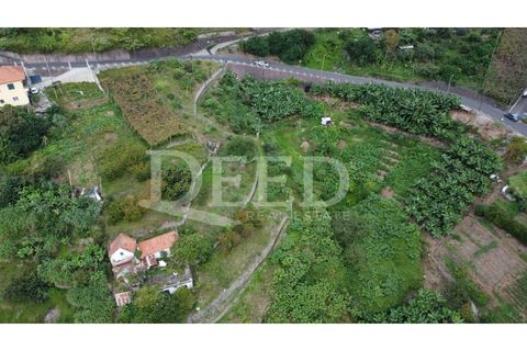 Helårsgrund i Machico, Madeira, Machico - € 70.000 | Ref: DEED/738 - foto 7