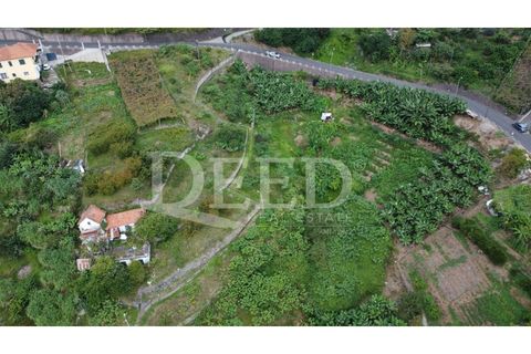 Helårsgrund i Machico, Madeira, Machico - € 70.000 | Ref: DEED/738 - foto 8