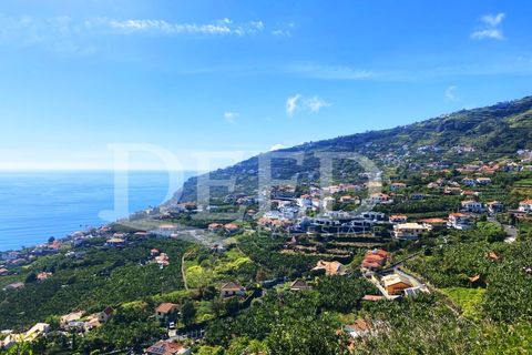 Villa i Arco da Calheta, Madeira, Arco da Calheta - € 1.080.000 | Ref: DEED/692 - foto 3