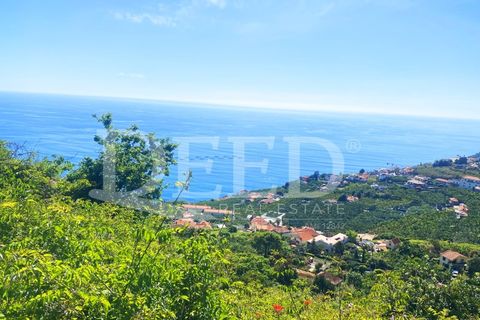 Villa i Arco da Calheta, Madeira, Arco da Calheta - € 1.080.000 | Ref: DEED/692 - foto 4