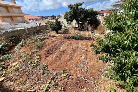 Tomt i Alcabideche, Lisbon, Alcabideche - € 250 000 | Ref: ATL3078 - foto 3