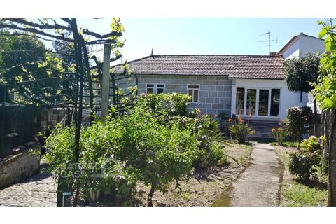 Farm i Curvos, Braga, Curvos - € 560.000 | Ref: 130/23 - foto 6