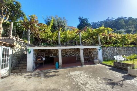 Farm i Curvos, Braga, Curvos - € 560.000 | Ref: 130/23 - foto 9