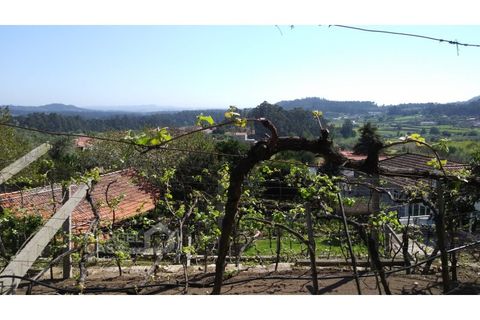 Farm i Curvos, Braga, Curvos - € 560.000 | Ref: 130/23 - foto 12
