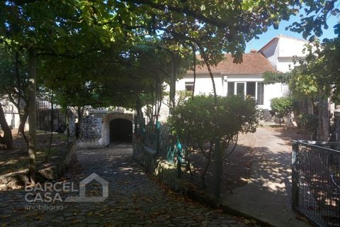 Farm i Curvos, Braga, Curvos - € 560.000 | Ref: 130/23 - foto 15