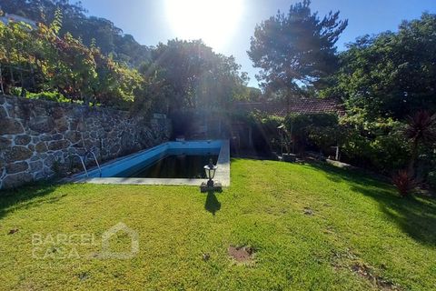 Farm i Curvos, Braga, Curvos - € 560.000 | Ref: 130/23 - foto 20