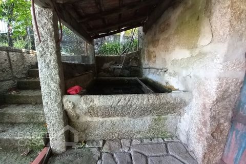 Farm i Curvos, Braga, Curvos - € 560.000 | Ref: 130/23 - foto 21