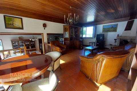 Farm i Curvos, Braga, Curvos - € 560.000 | Ref: 130/23 - foto 25