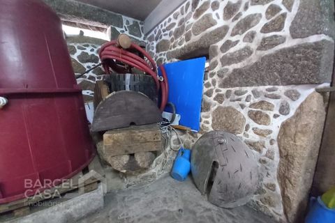 Farm i Curvos, Braga, Curvos - € 560.000 | Ref: 130/23 - foto 40