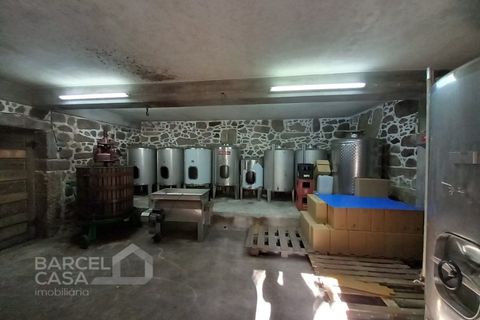 Farm i Curvos, Braga, Curvos - € 560.000 | Ref: 130/23 - foto 41