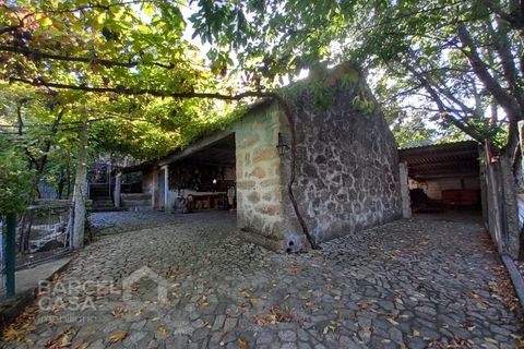 Farm i Curvos, Braga, Curvos - € 560.000 | Ref: 130/23 - foto 42