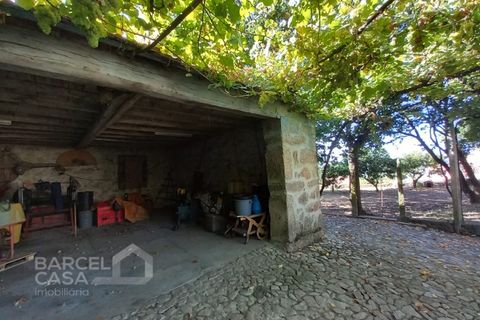 Farm i Curvos, Braga, Curvos - € 560.000 | Ref: 130/23 - foto 43