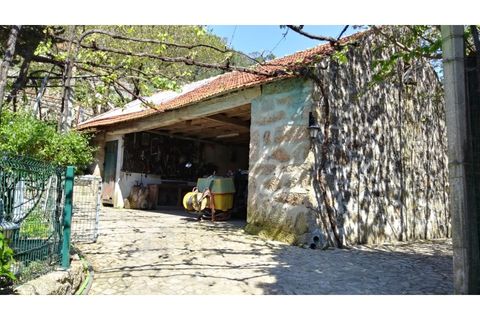 Farm i Curvos, Braga, Curvos - € 560.000 | Ref: 130/23 - foto 44