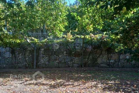 Farm i Curvos, Braga, Curvos - € 560.000 | Ref: 130/23 - foto 45