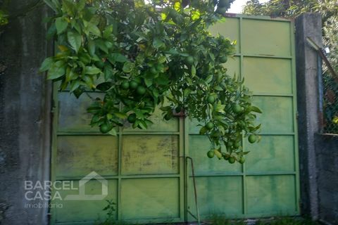 Farm i Curvos, Braga, Curvos - € 560.000 | Ref: 130/23 - foto 46