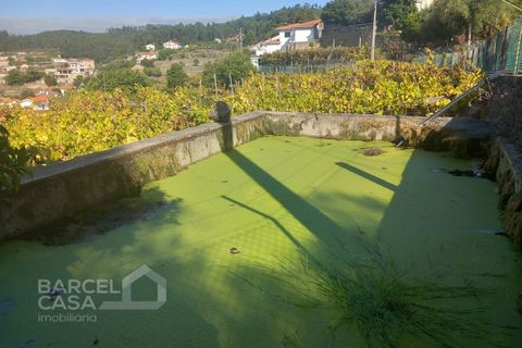 Farm i Curvos, Braga, Curvos - € 560.000 | Ref: 130/23 - foto 47