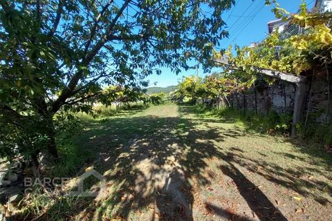 Farm i Curvos, Braga, Curvos - € 560.000 | Ref: 130/23 - foto 48