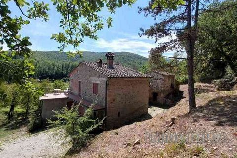 Landejendom i Monterchi, Arezzo, Monterchi - € 330.000 | Ref: 552 - foto 6