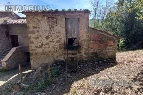 Landejendom i Monterchi, Arezzo, Monterchi - € 330.000 | Ref: 552 - foto 8