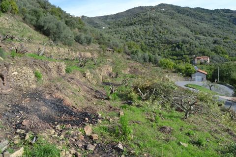 Helårsgrund i Perinaldo, Imperia, Perinaldo - € 89.000 | Ref: 83041714 - foto 1