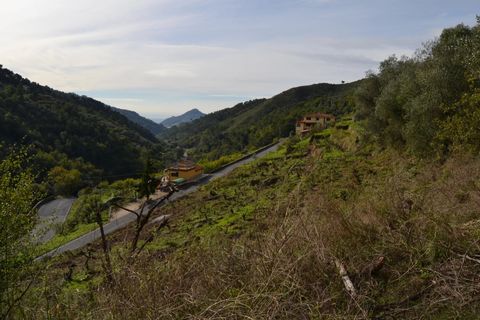 Helårsgrund i Perinaldo, Imperia, Perinaldo - € 89.000 | Ref: 83041714 - foto 2