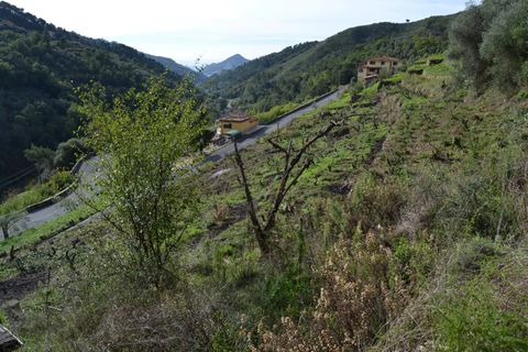 Helårsgrund i Perinaldo, Imperia, Perinaldo - € 89.000 | Ref: 83041714 - foto 6