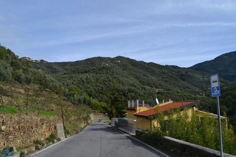 Helårsgrund i Perinaldo, Imperia, Perinaldo - € 89.000 | Ref: 83041714 - foto 7