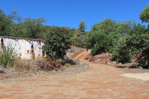 Villa i Tavira, Faro, Tavira - € 945.000 | Ref: HAB_51362 - foto 12