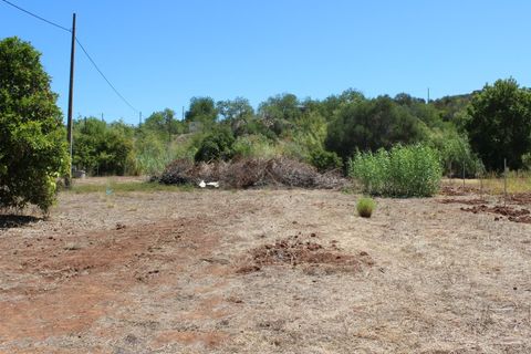 Villa i Tavira, Faro, Tavira - € 945.000 | Ref: HAB_51362 - foto 18