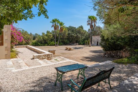 Landejendom i Muro, Mallorca, Muro - € 1.390.000 | Ref: MUR52923 - foto 23
