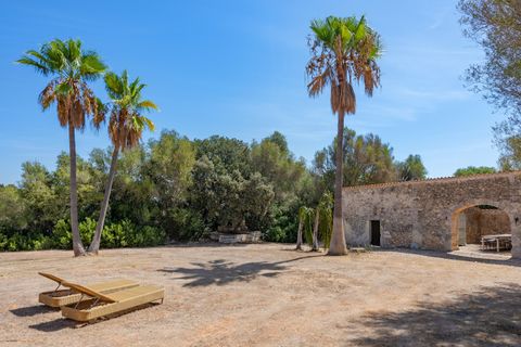 Landejendom i Muro, Mallorca, Muro - € 1.390.000 | Ref: MUR52923 - foto 32