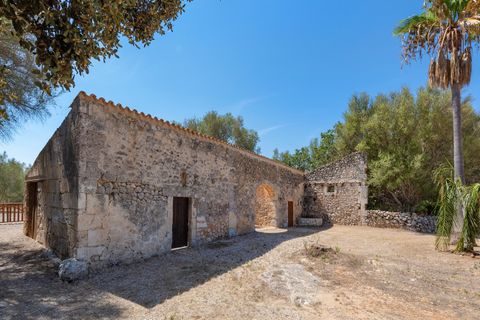 Landejendom i Muro, Mallorca, Muro - € 1.390.000 | Ref: MUR52923 - foto 33