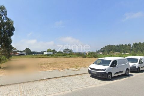 Helårsgrund i Esposende, Braga, Esposende - € 1.200.000 | Ref: ZMPT560617 - foto 4