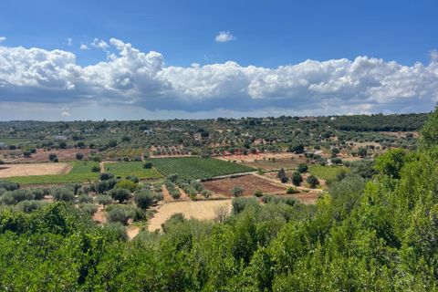 Landejendom i Cisternino, Brindisi, Cisternino - € 180.000 | Ref: 239 - foto 8