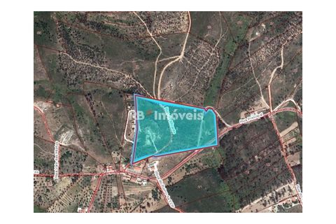 Helårsgrund i Tomar, Santarem, Tomar - € 70.000 | Ref: 01035-23 - foto 2