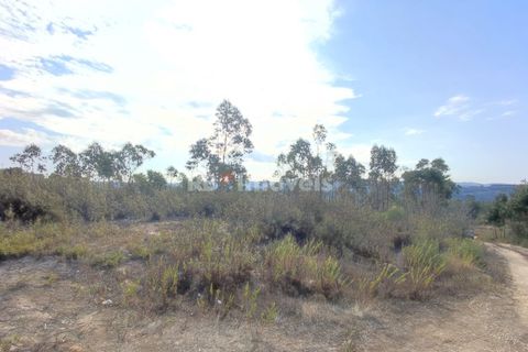 Helårsgrund i Tomar, Santarem, Tomar - € 70.000 | Ref: 01035-23 - foto 13
