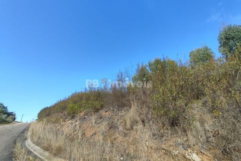 Helårsgrund i Tomar, Santarem, Tomar - € 70.000 | Ref: 01035-23 - foto 9