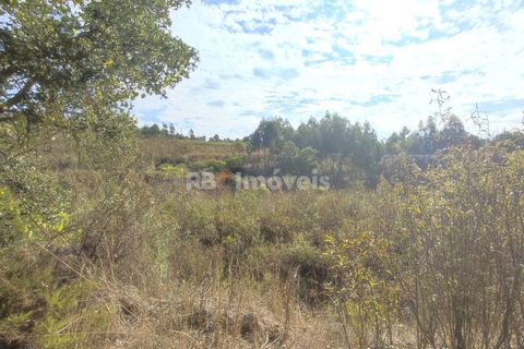 Helårsgrund i Tomar, Santarem, Tomar - € 70.000 | Ref: 01035-23 - foto 24
