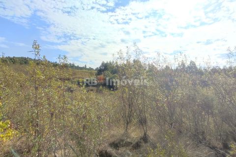 Helårsgrund i Tomar, Santarem, Tomar - € 70.000 | Ref: 01035-23 - foto 25