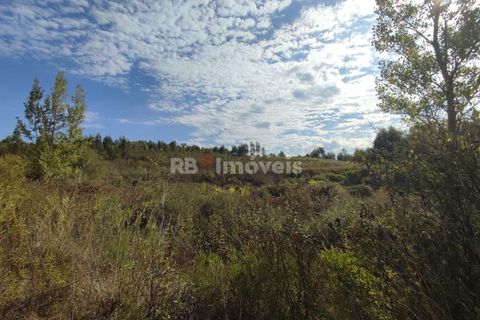 Helårsgrund i Tomar, Santarem, Tomar - € 70.000 | Ref: 01035-23 - foto 27