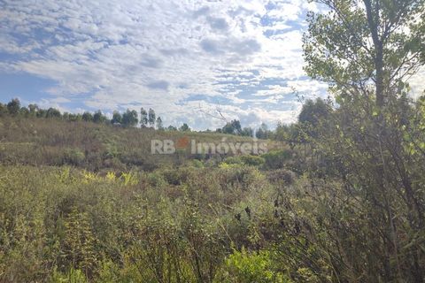Helårsgrund i Tomar, Santarem, Tomar - € 70.000 | Ref: 01035-23 - foto 30