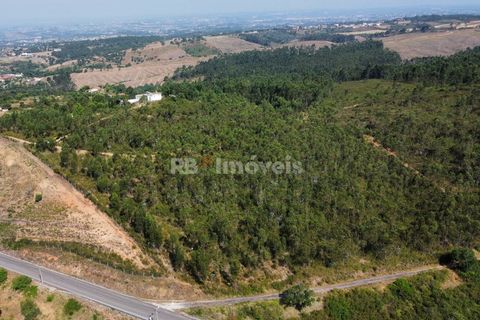 Helårsgrund i Tomar, Santarem, Tomar - € 70.000 | Ref: 01035-23 - foto 1