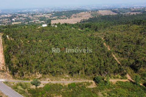 Helårsgrund i Tomar, Santarem, Tomar - € 70.000 | Ref: 01035-23 - foto 4