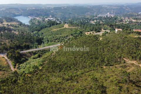 Helårsgrund i Tomar, Santarem, Tomar - € 70.000 | Ref: 01035-23 - foto 5