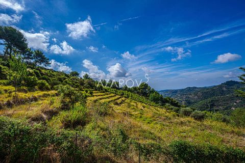 Villa a Soldano, Imperia, Soldano - € 450.000 | Ref: 5559 - foto 4